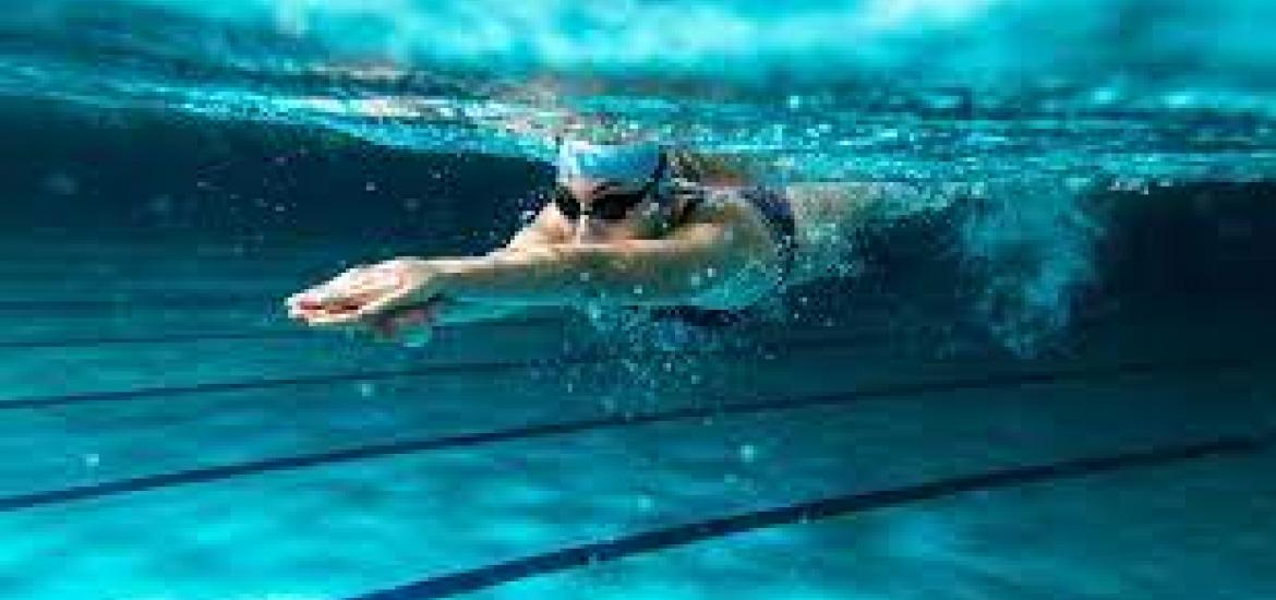 Natation